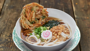 Udon Noodle Soup